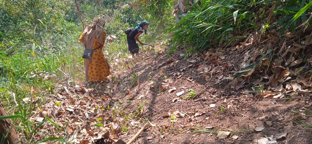 G:\Medical Leave Gordon\VILLAGE REPORT PICTURES\JIRANG BLOCK\Sohkyrbam rim\9.Forest Fire Line control\WhatsApp Image 2023-03-24 at 17.13.29.jpeg